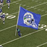 Seahawks Flag
