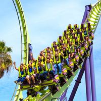 Six Flags