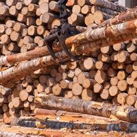 TImber