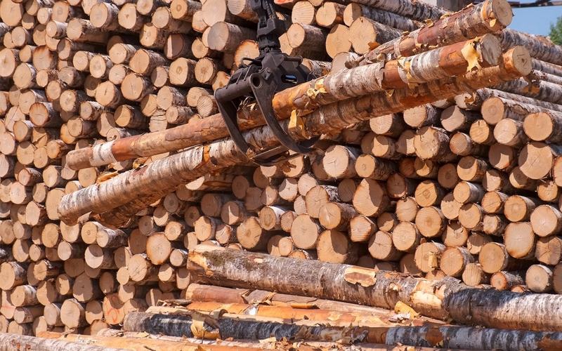 TImber