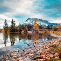 The Alberta Picture