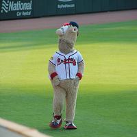 The Atlanta Braves