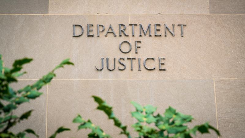 The DOJ Picture