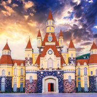 The Disney Magic Kingdom