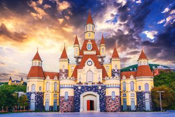 The Disney Magic Kingdom
