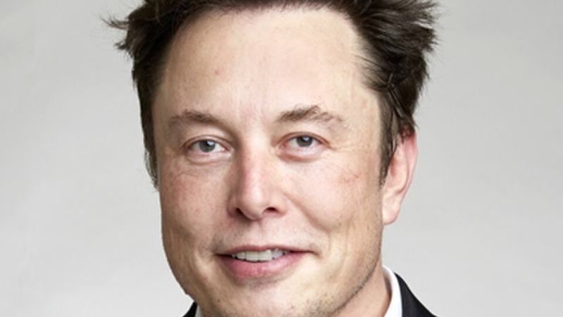 The Elon Musk Photo