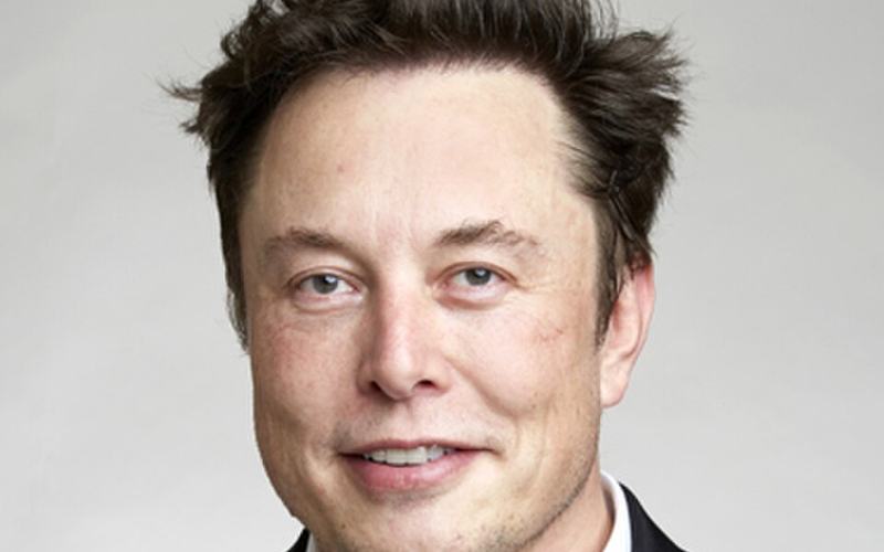 The Elon Musk Photo