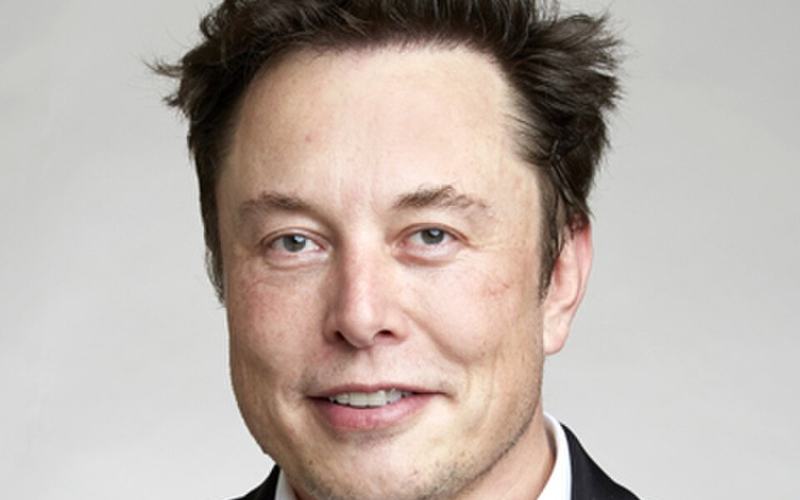 The Elon Musk Photo