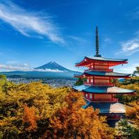 The Japan Picture