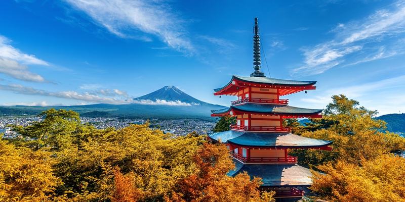 The Japan Picture