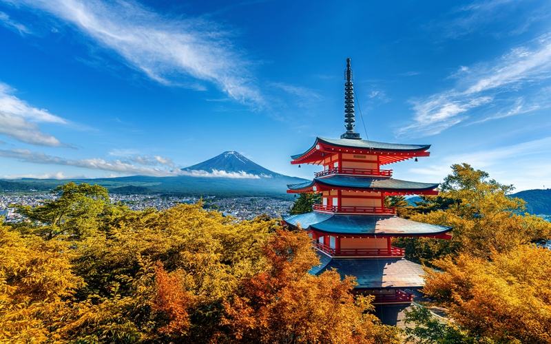 The Japan Picture