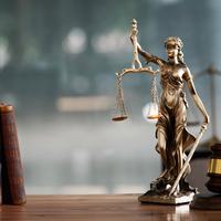 The Judge