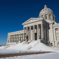 The Missouri Supreme Court