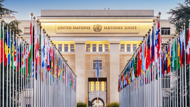 The UN