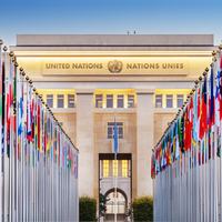 The UN