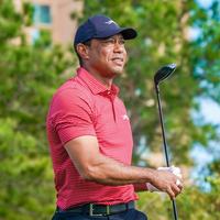 Tiger Woods