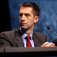 Tom Cotton Photo