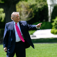Trump Pink Tie
