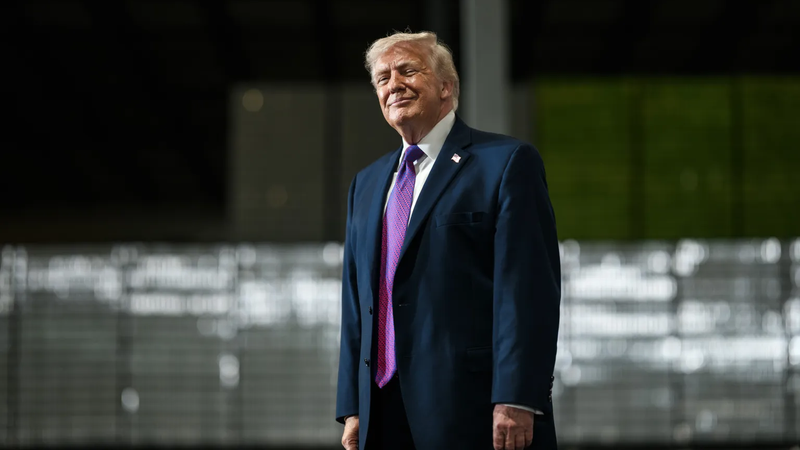 Trump Purple Tie
