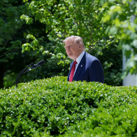 Trump Rose Garden