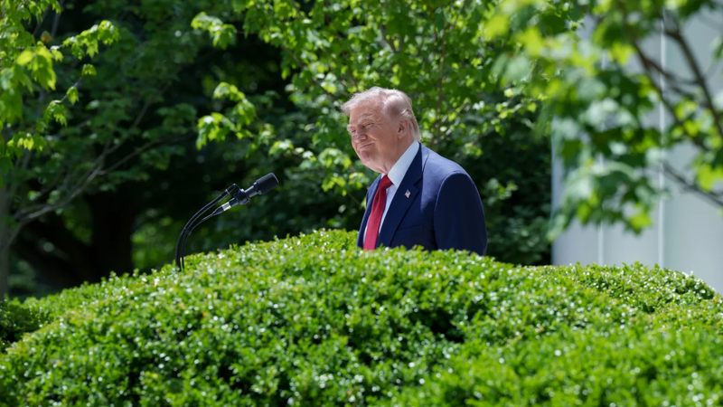Trump Rose Garden