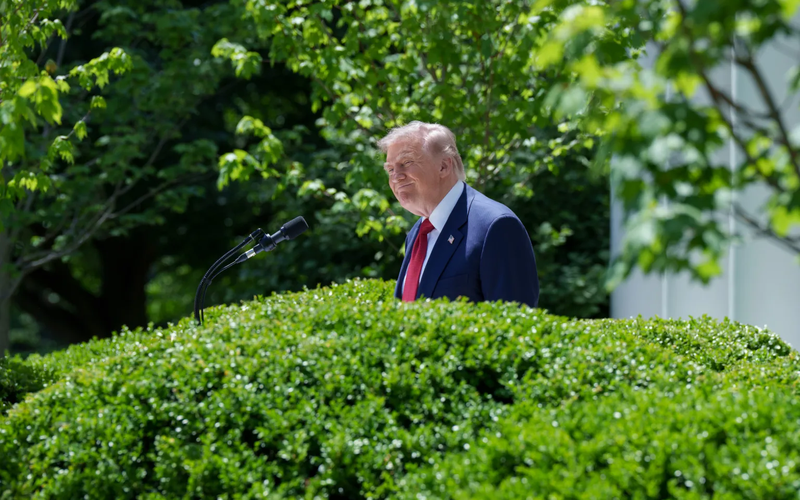 Trump Rose Garden