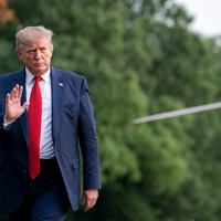 Trump Win