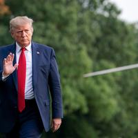Trump endorsements