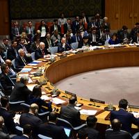 UN Security Council