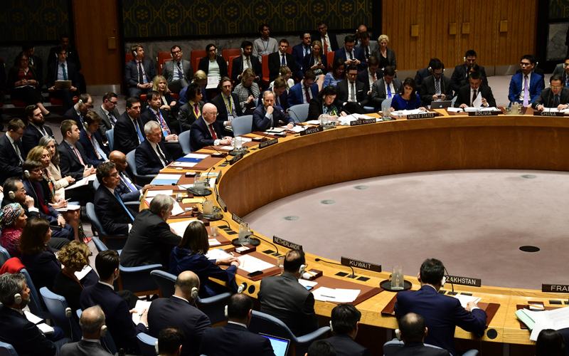UN Security Council