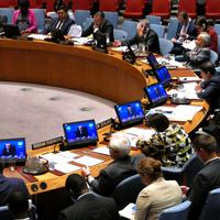 United Nations Panal
