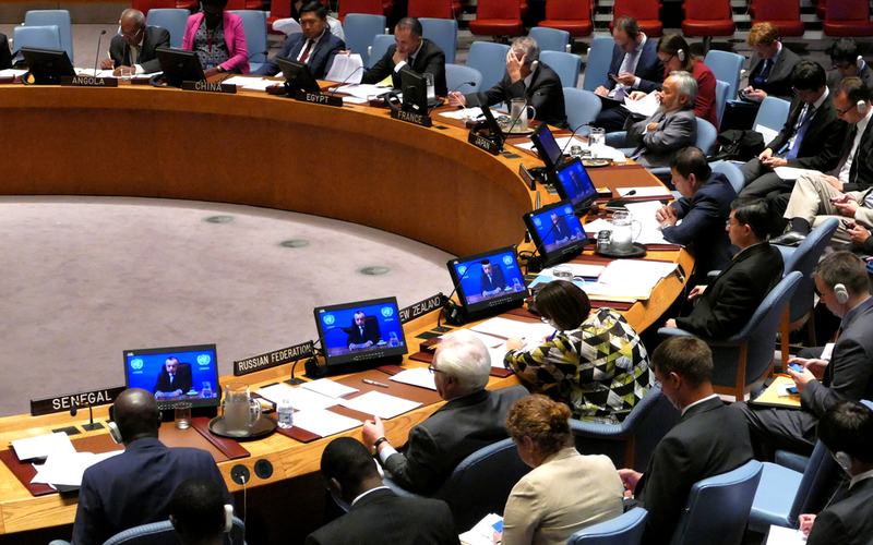 United Nations Panal
