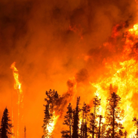 Wildfires
