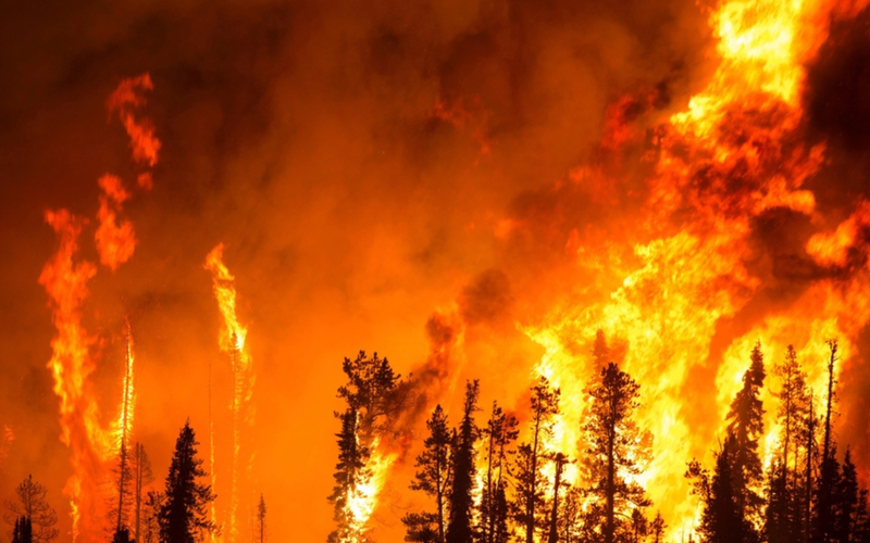 Wildfires