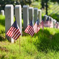 arlington national