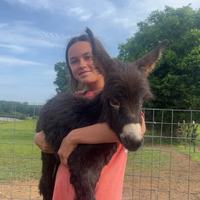 Heehaw Donkey - Elsberry Riding and Farm
