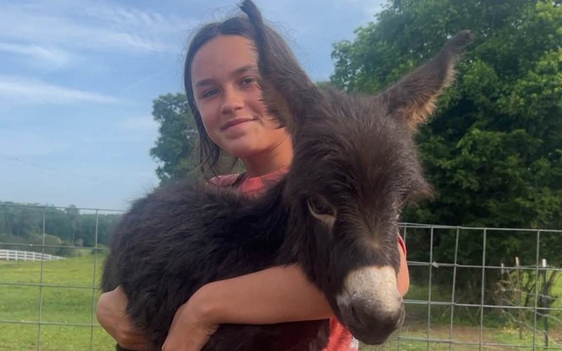 Heehaw Donkey - Elsberry Riding and Farm