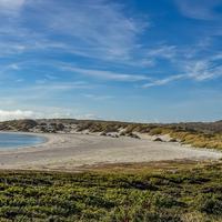 falklands island