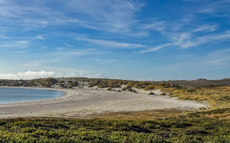 falklands island