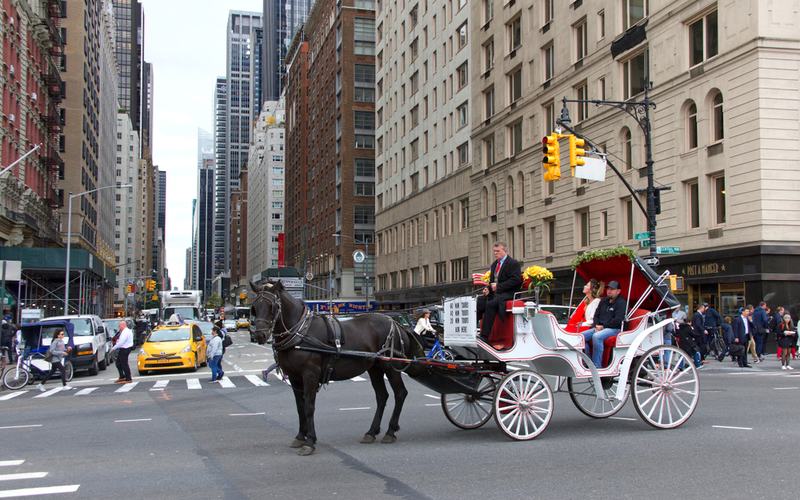 horse carriages