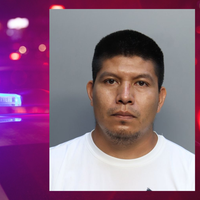 immigrant arrest