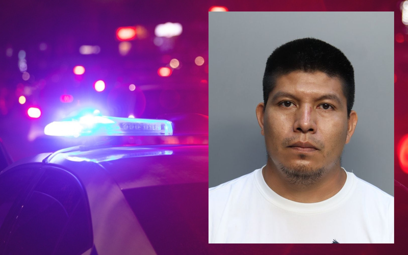immigrant arrest