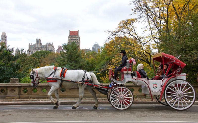 New York Horse Carriage - Shutterstock
