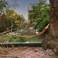 Cyclone Aftermath in India - Shutterstock