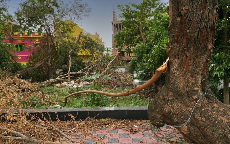 Cyclone Aftermath in India - Shutterstock