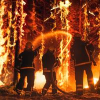 California Wildfires