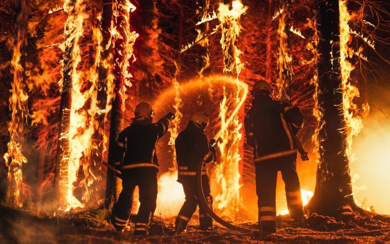California Wildfires