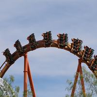 Six Flags Coaster - Shutterstock