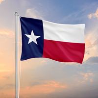 Texas Flag - Shutterstock