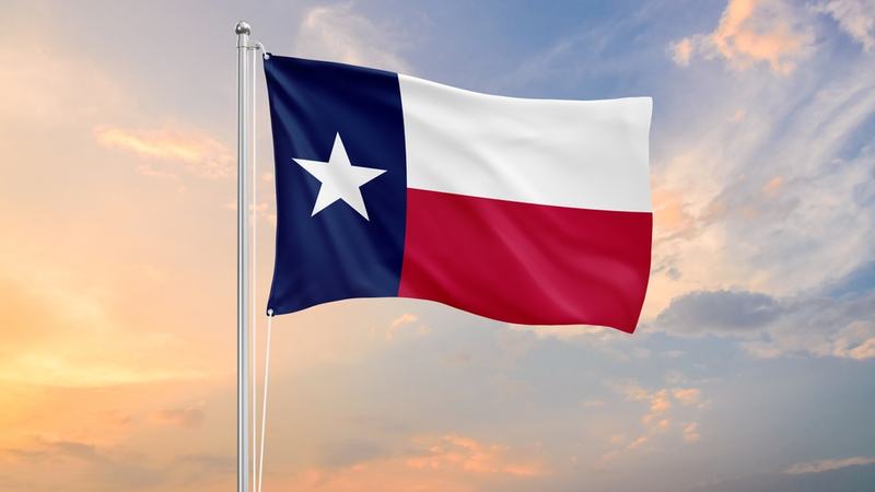 Texas Flag - Shutterstock